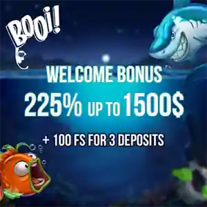 booi kasyno